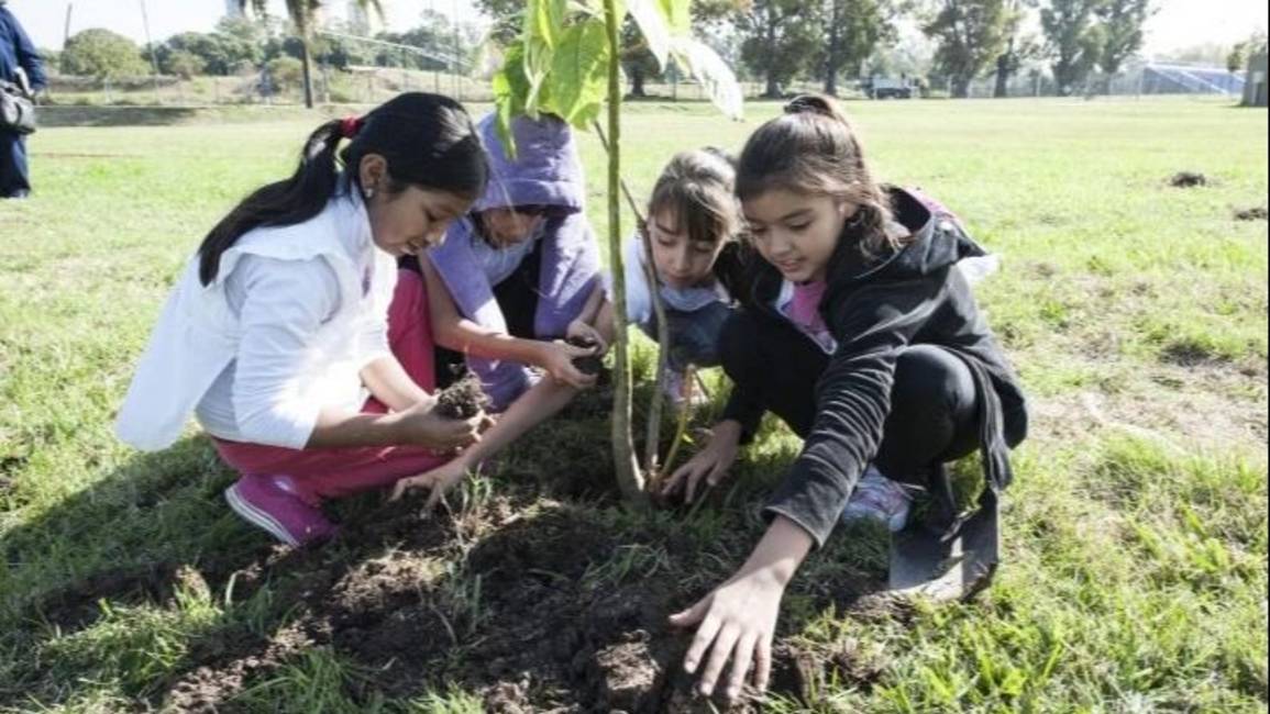 Capacitarán a docentes sobre educación ambiental