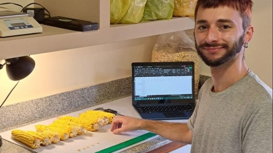 Avances en estudios con maíces quebradeños