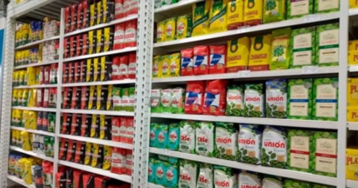 Precio De La Yerba Estable Y Quienes La Producen En Crisis Precio De La Yerba Estable Y Quienes La Producen En Crisis