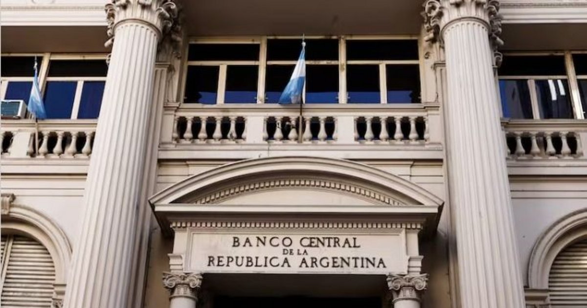 Preparan una reforma de la Carta Orgánica del Central