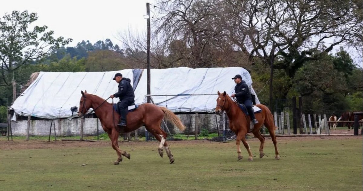Seguridad fortalece el Cuerpo de Caballería