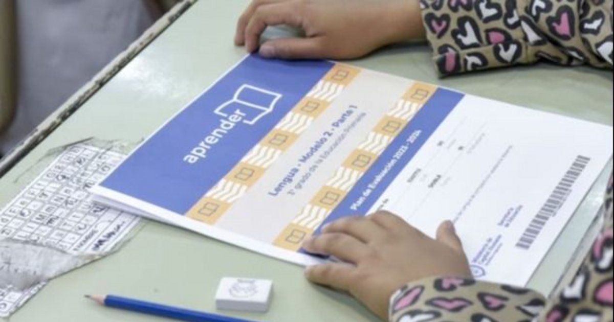 Pruebas Aprender: hubo mejoras en Lengua, pero no en Matemáticas