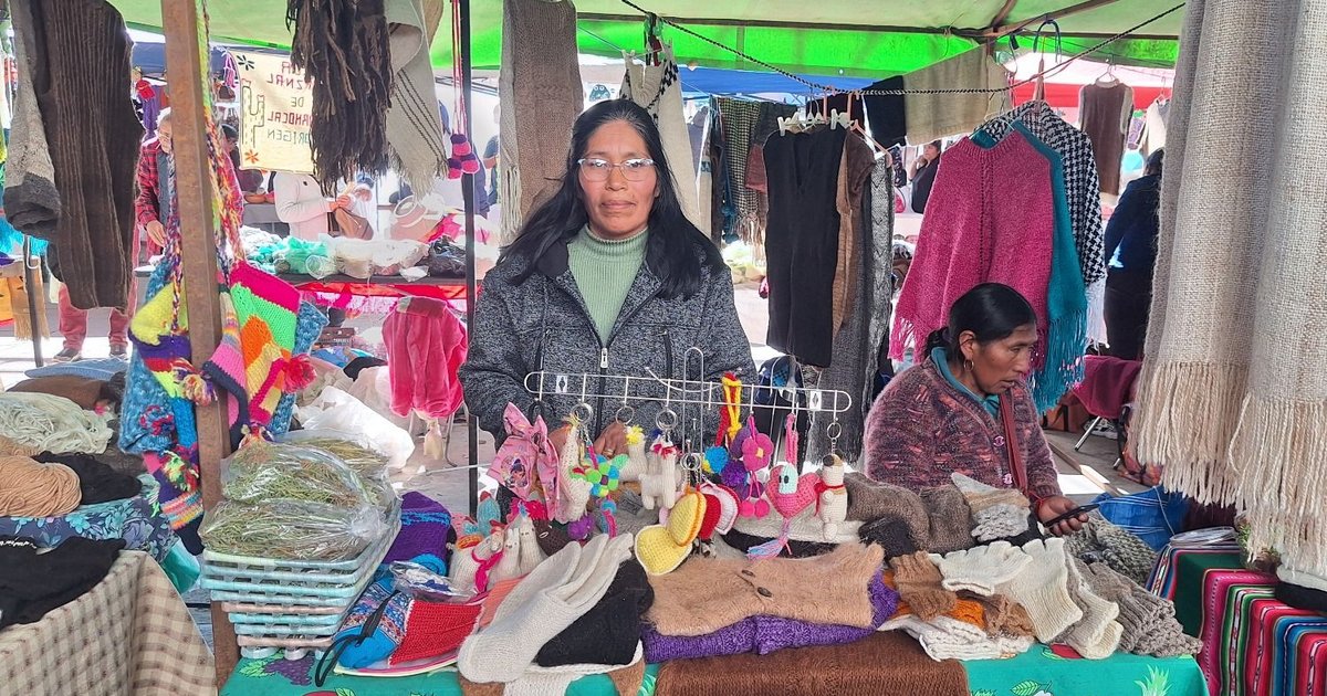 Diversidad productiva de las cuatro regiones sigue hoy