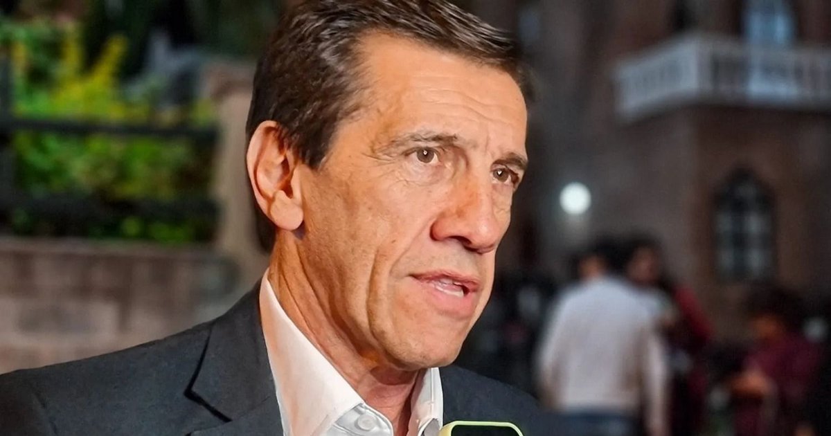 Sadir se expresó en contra de eliminar las Paso y dijo que la UCR podría considerar “suspenderlas"