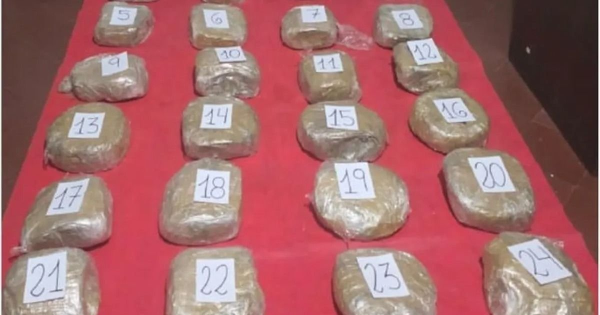 Narcomenudeo: 21 detenidos y más de 137 mil dosis secuestradas