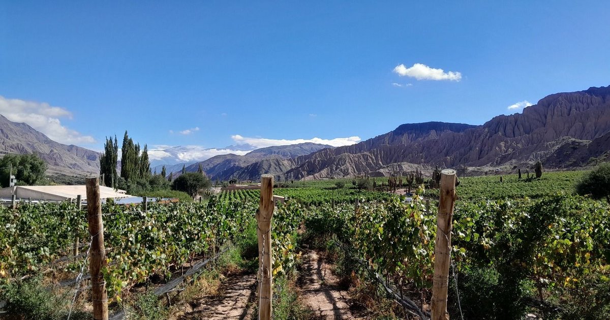 Más fechas para disfrutar de la nueva experiencia Tren del Vino