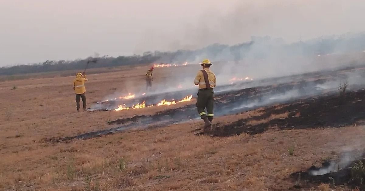Bomberos y brigadistas en focos de incendios desatados