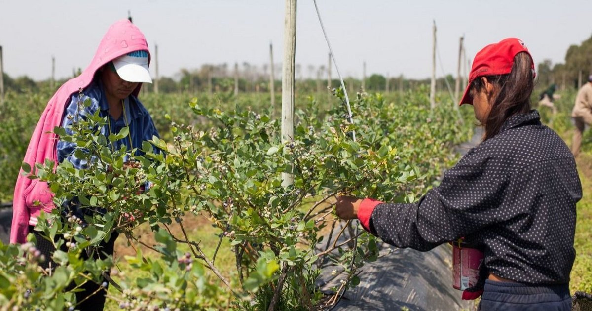 Invitan a trabajadores rurales a inscribirse en el PER de Renatre