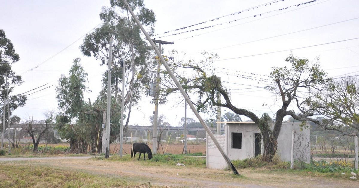 Vecinos de Los Alisos llevan tres dias sin servicio eléctrico
