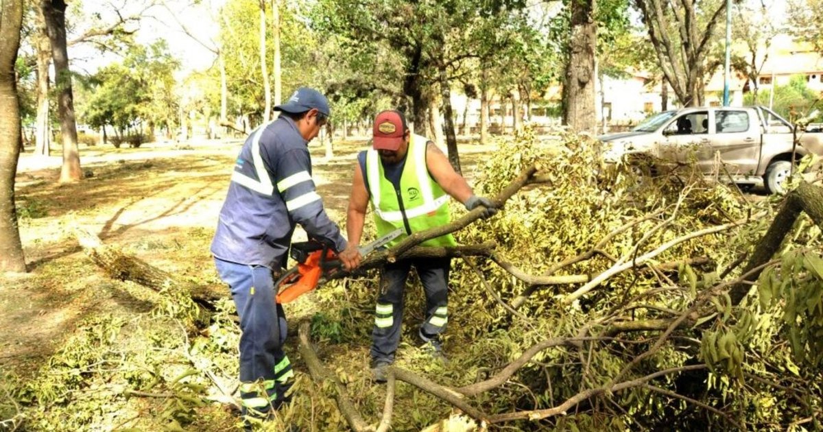Voladuras de techos, árboles y postes caídos las consecuencias del viento Norte