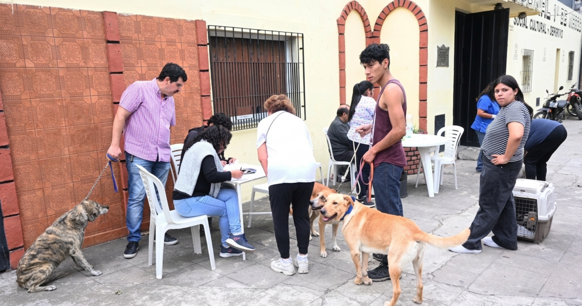 Suspenden temporalmente vacunación antirrábica por falta de dosis de Nación