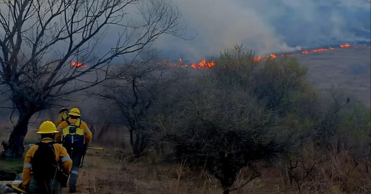 Cortaron ayer el tránsito en la ruta nacional 9 por fuego y humo