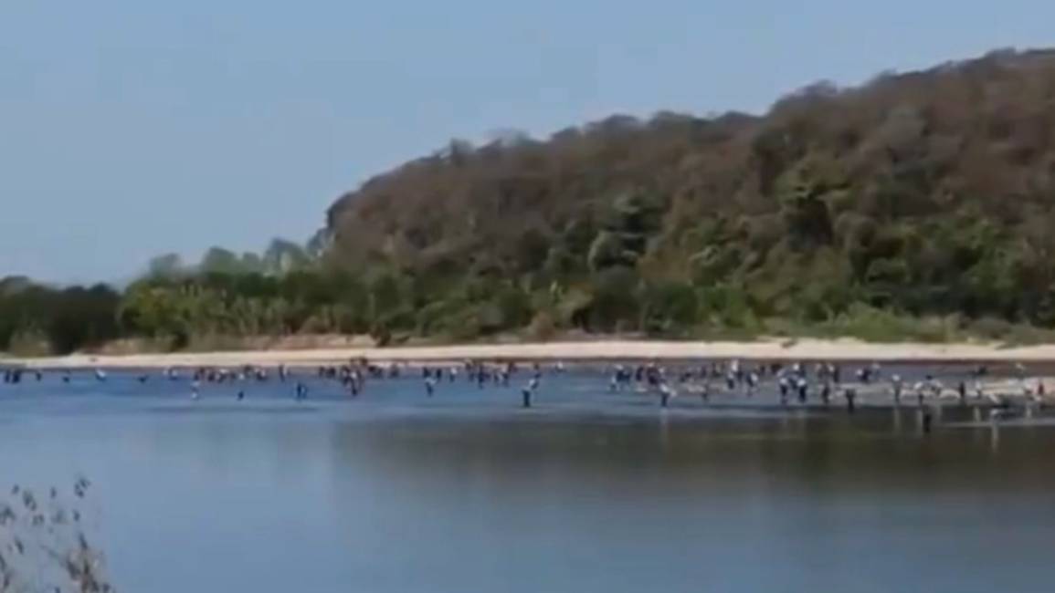 Video: Decenas de personas cruzan el Río Bermejo para ingresar a Salta