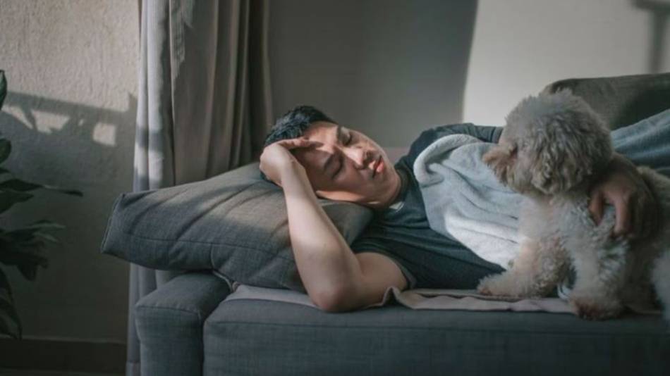 Alergia a los perros: consejos fáciles para combatirla y disfrutar de las mascotas