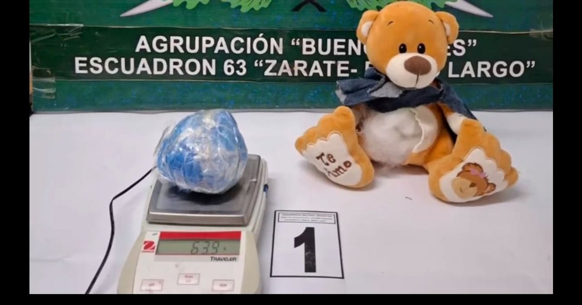 Enviaron marihuana desde Jujuy dentro de un oso de peluche