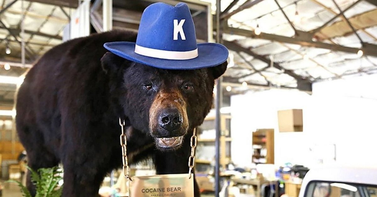 Pablo Escobear: la historia real del oso que murió por una sobredosis de cocaína