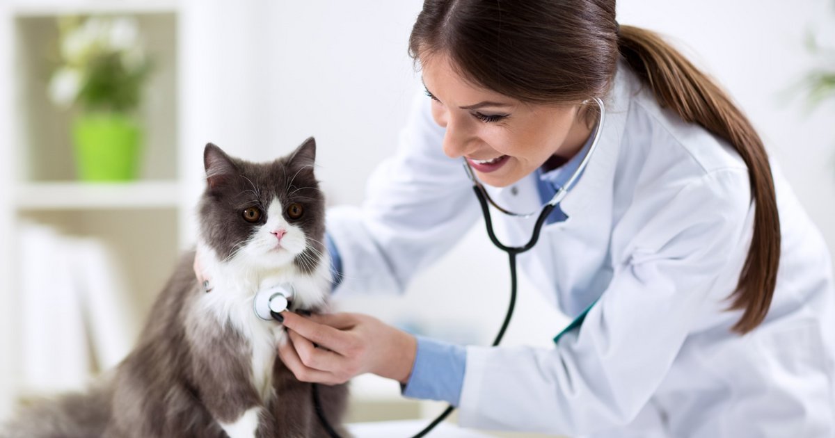 Día del Veterinario en la Argentina