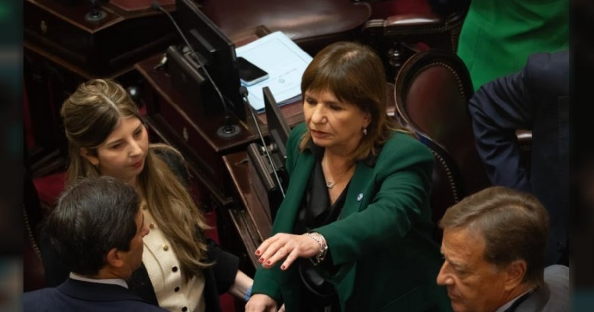Propiedad privada: comenzó la sesión para debatir desalojo exprés y expropiaciones