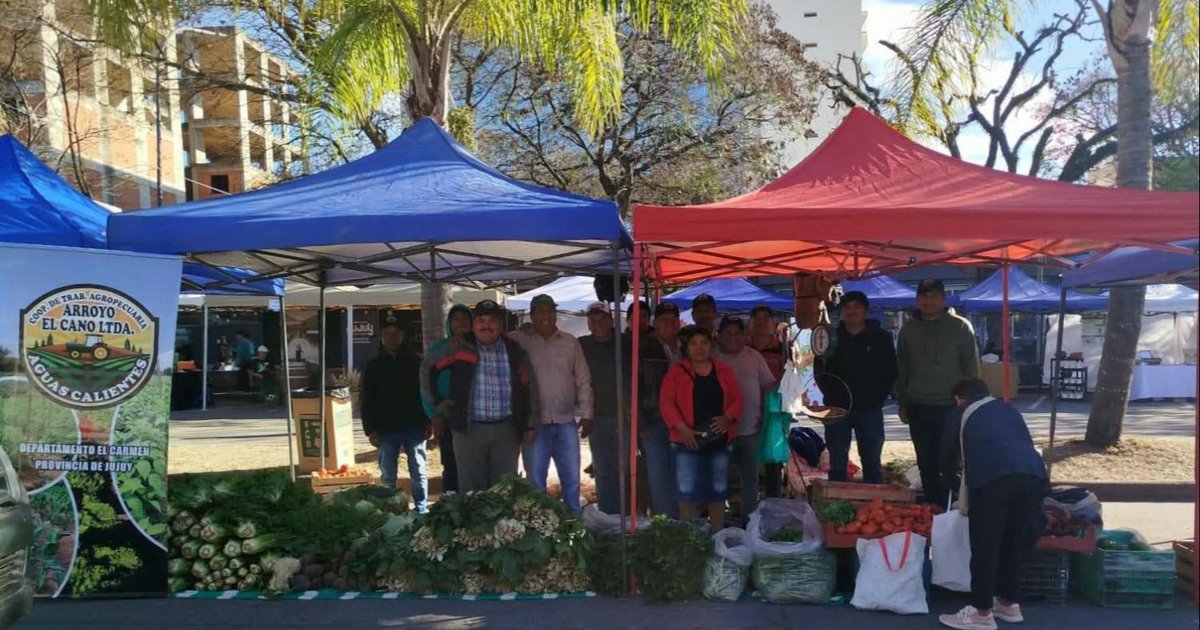 Regiones vivas y la producción de Aguas Calientes