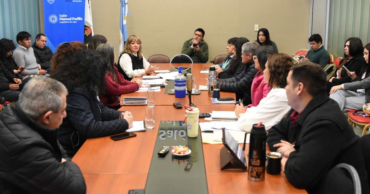 Diputados quieren proteger a los niños de riesgos digitales