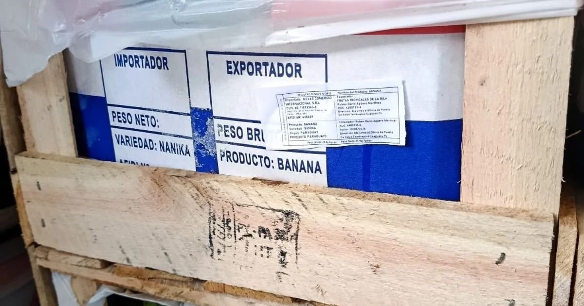 Contra irregular ingreso de mercadería importada
