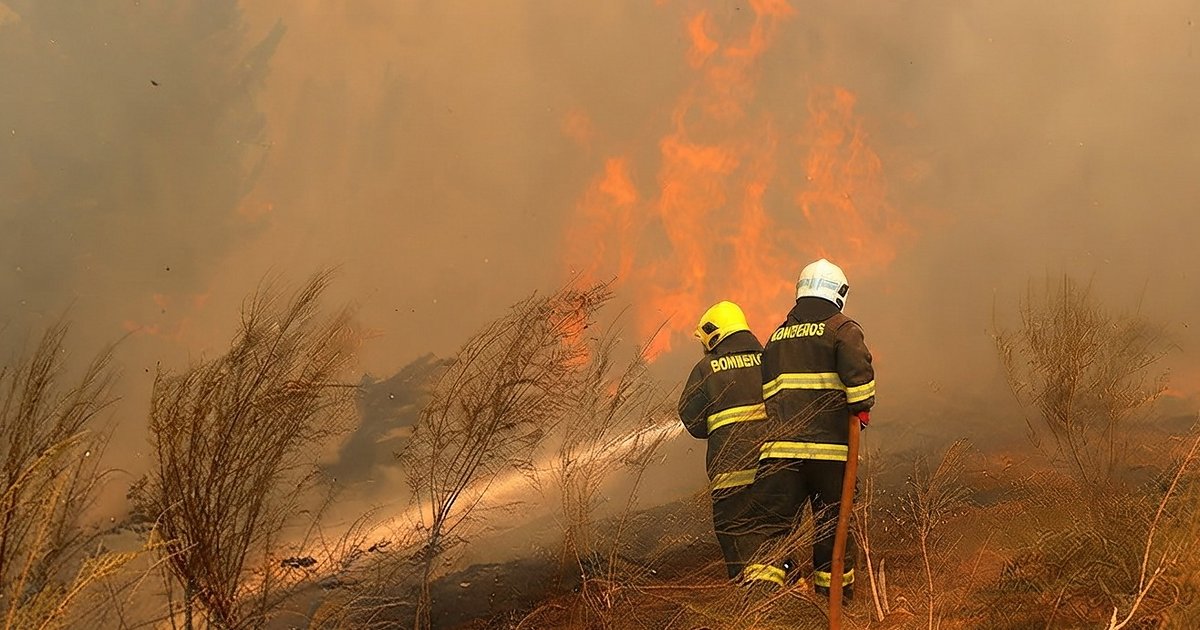 Día Mundial de la Prevención de Incendios Forestales