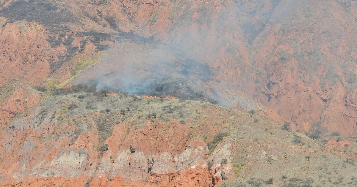 Incendio en Volcán: brigadas trabajan para contener el fuego