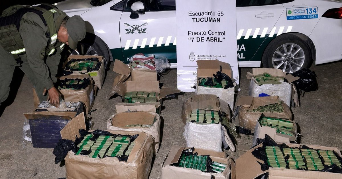 Incautan 186 kilos de hoja de coca en un camión que iba desde Jujuy rumbo a Buenos Aires