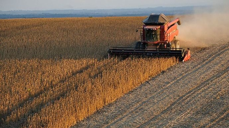 El Gobierno Nacional cerró un acuerdo histórico con China para exportar harina de soja
