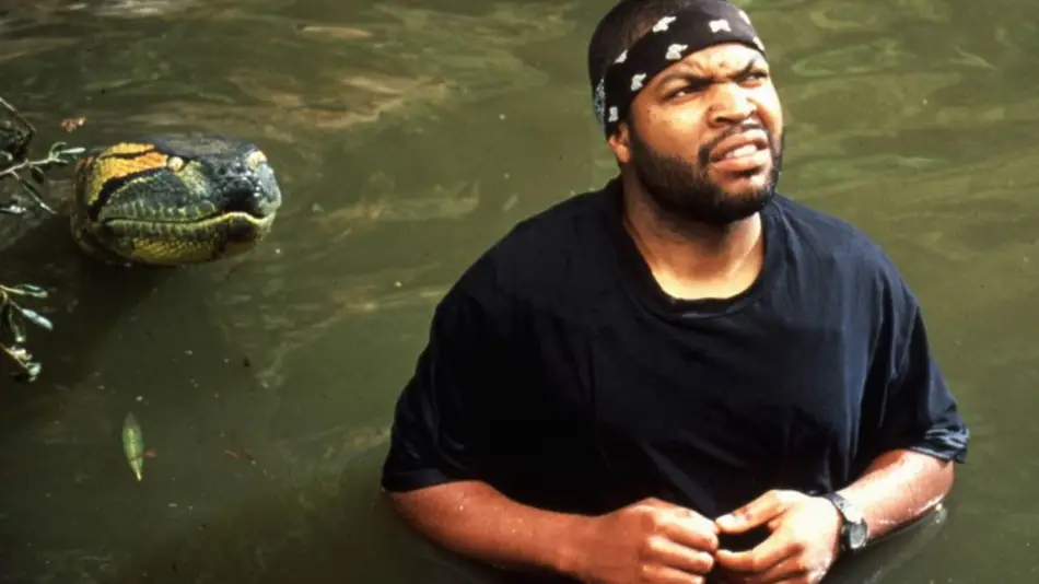 Video: La inesperada reacción de una anaconda al toparse con buzos bajo el agua