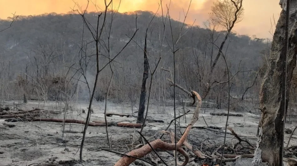 Llegan a 8.000 las hectáreas quemadas por los incendios en las Yungas jujeñas