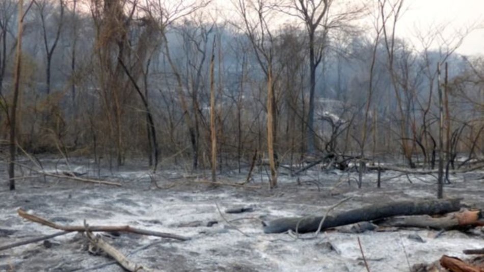 Las provincias de Jujuy y Entre Ríos registran focos activos de incendios forestales