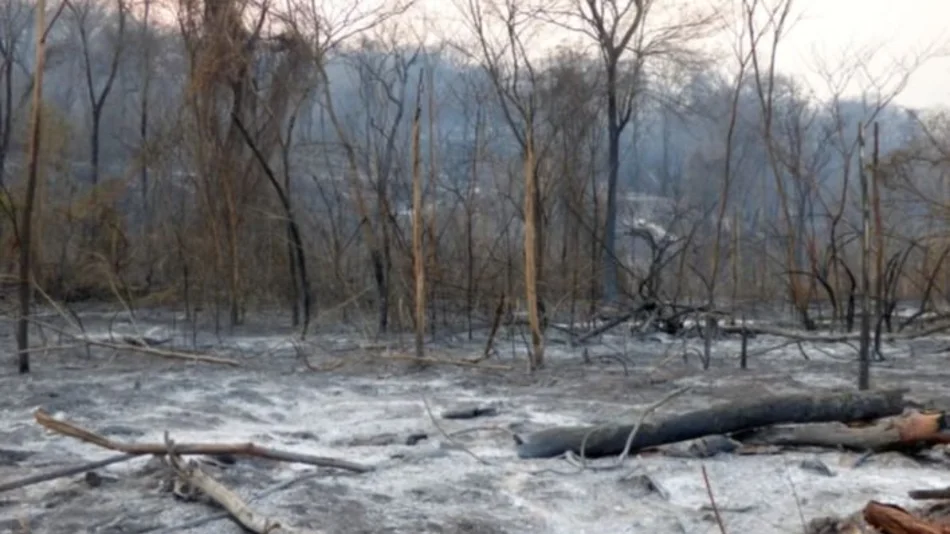 Las provincias de Jujuy y Entre Ríos registran focos activos de incendios forestales