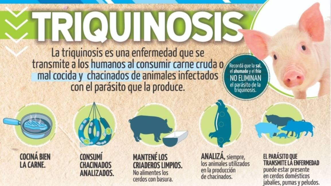 Cocción de carne de cerdo, clave para evitar triquinosis
