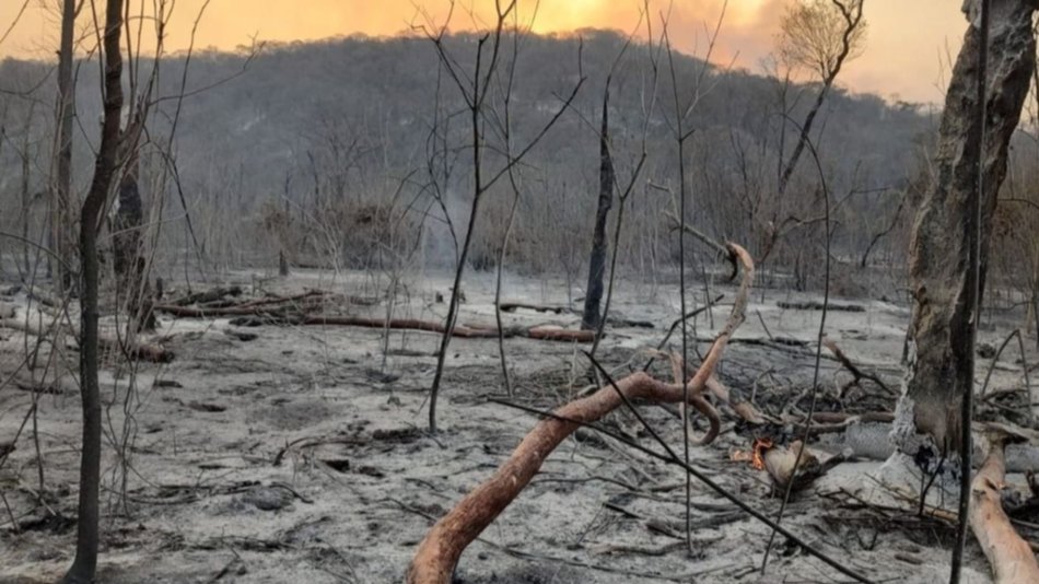 Lleva tres días “quieto” el incendio en las Yungas jujeñas