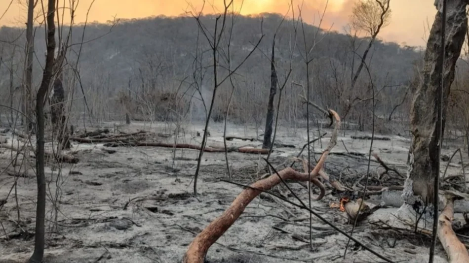 Lleva tres días “quieto” el incendio en las Yungas jujeñas