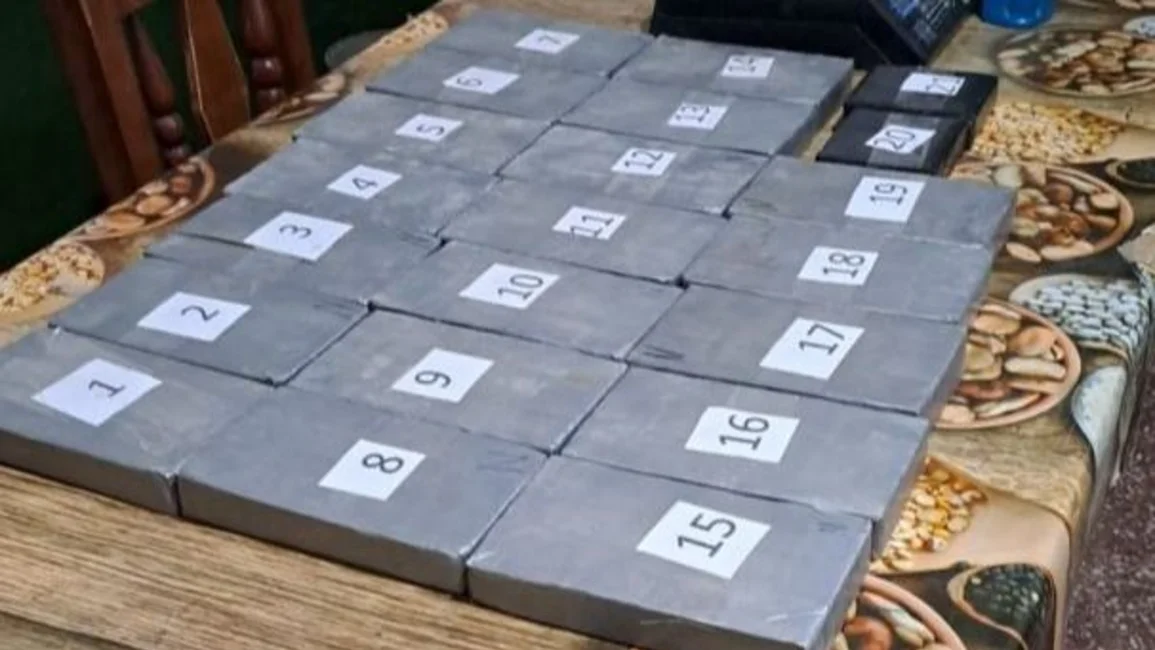 Narcotráfico en Jujuy: llevaba más de 21 kilos de cocaína en un doble fondo 