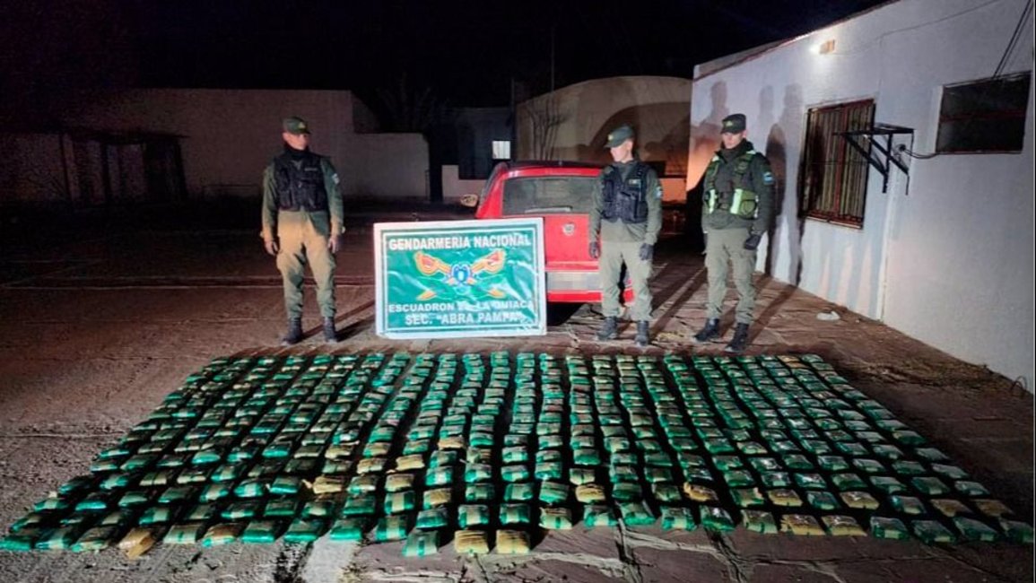 Decomisaron 95 kilos de coca y 52 aves en dos operativos