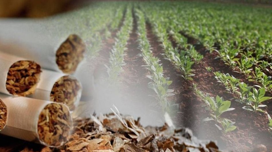 Preocupa la baja recaudación del FET para productores