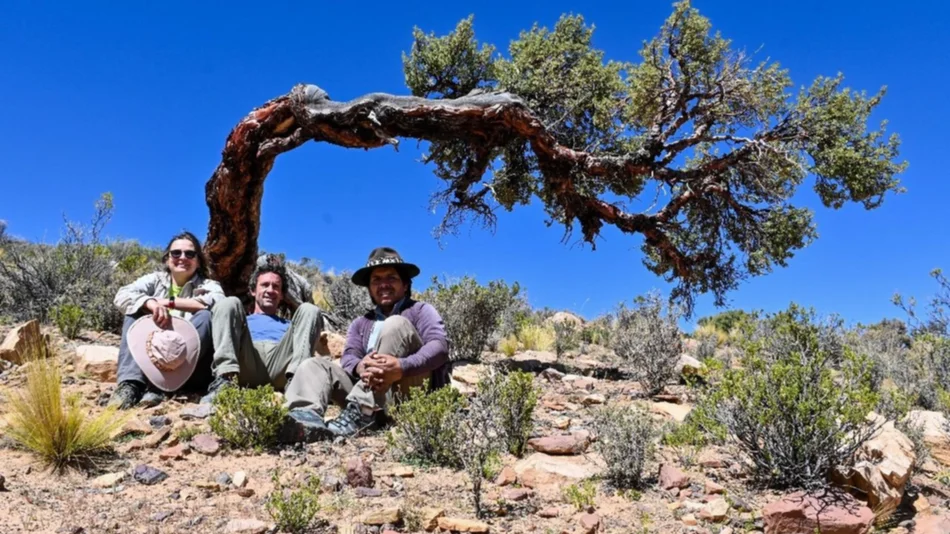 Dos años con proyecto de conservación de queñoas