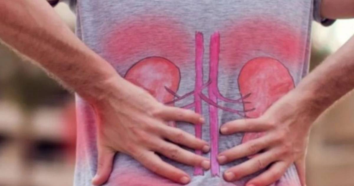 Dolor de riñones: síntomas, causas y qué tomar