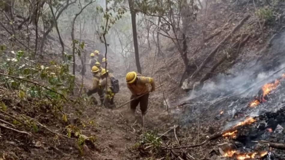Brigadistas controlaron importantes incendios