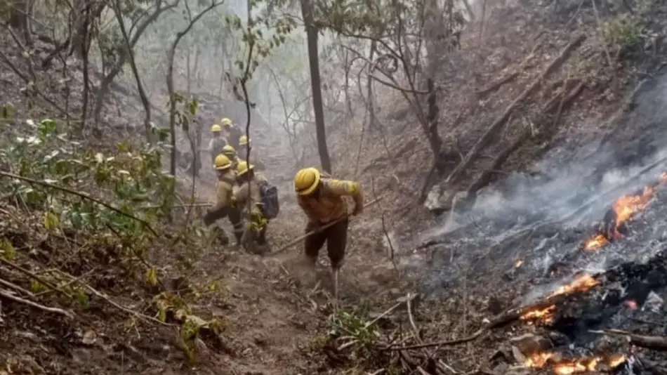 Brigadistas controlaron importantes incendios
