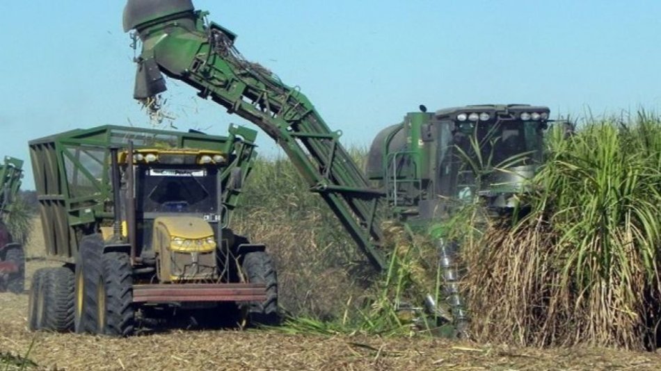 Azúcar, tabaco, vino: Jujuy contra las cuerdas
