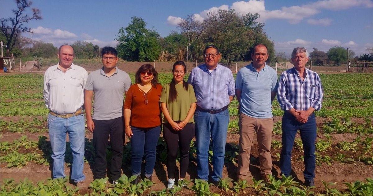 Lista Azul y Blanca busca renovar apoyo de tabacaleros