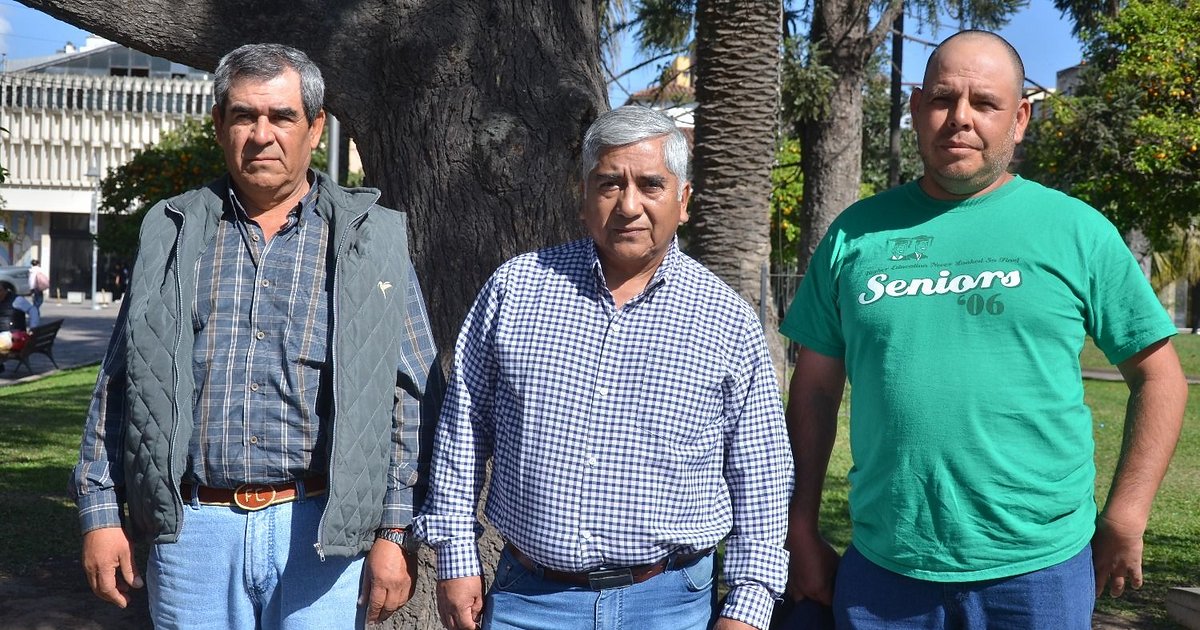 La Lista Violeta propone cercanía a los productores