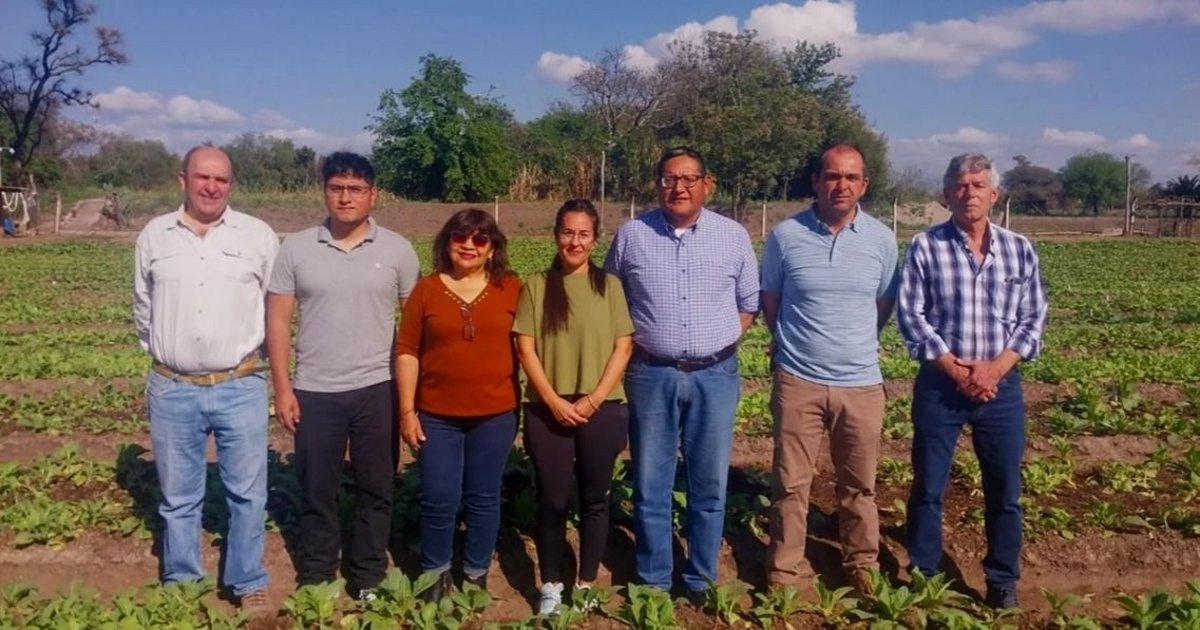 La Lista Azul y Blanca se impuso en las elecciones de la Cámara del Tabaco de Jujuy
