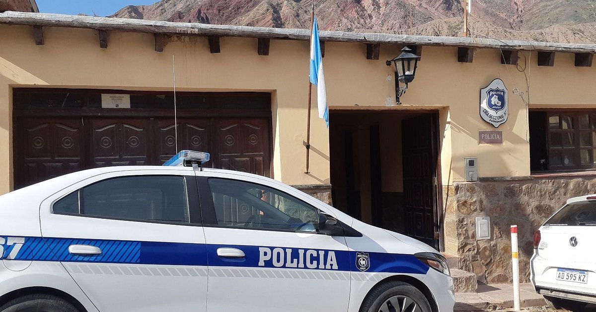 Hallan 370 kilos de hojas de coca en un colectivo