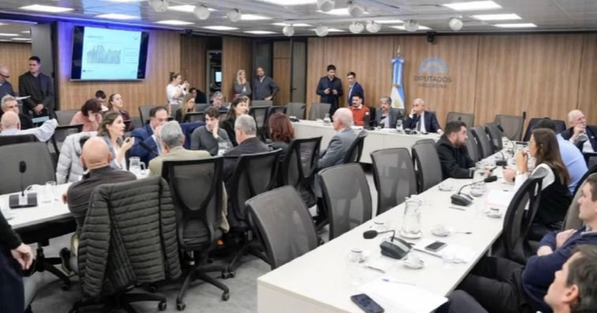 La oposición intentará avanzar esta semana con la sesión por morosidad y discapacidad en Diputados