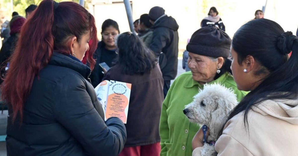 Realizaron 85 castraciones y aplicaron 400 vacunas en Campo Verde
